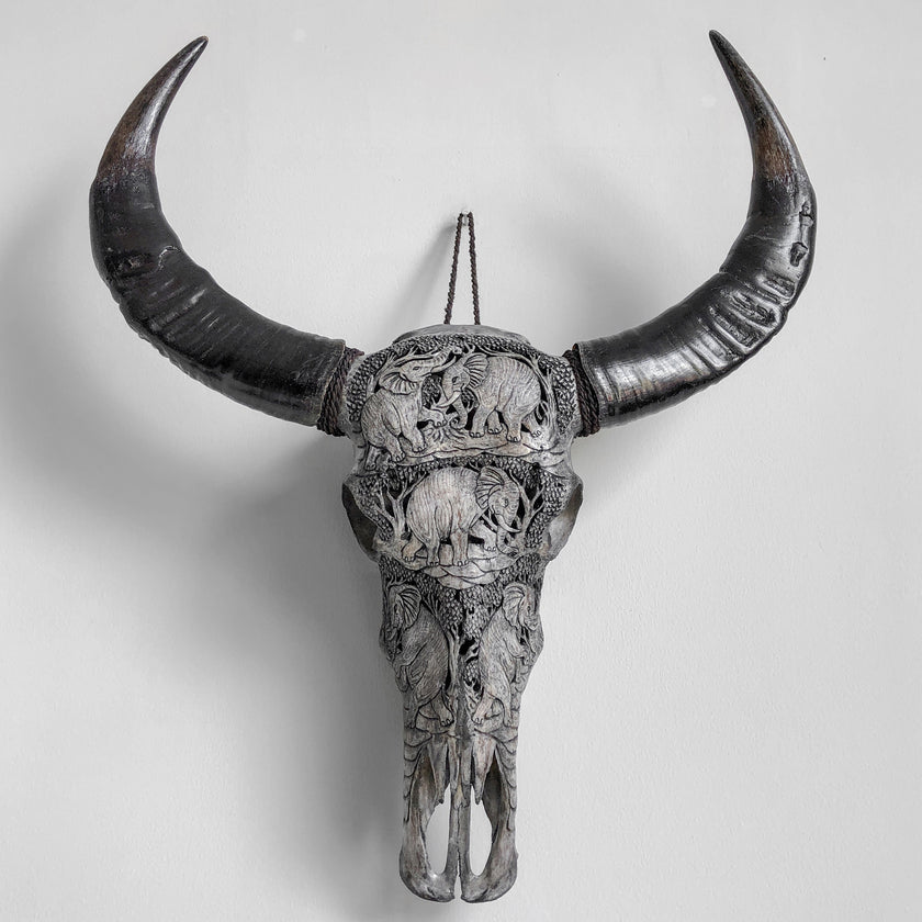 Real Carved Buffalo Skull 22/EX/274