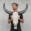 Carved Water Buffalo Skull with Leaf Scroll Design – White Bone Wall Art – Botanical Tribal Skull with Black Horns - Skull,A/057