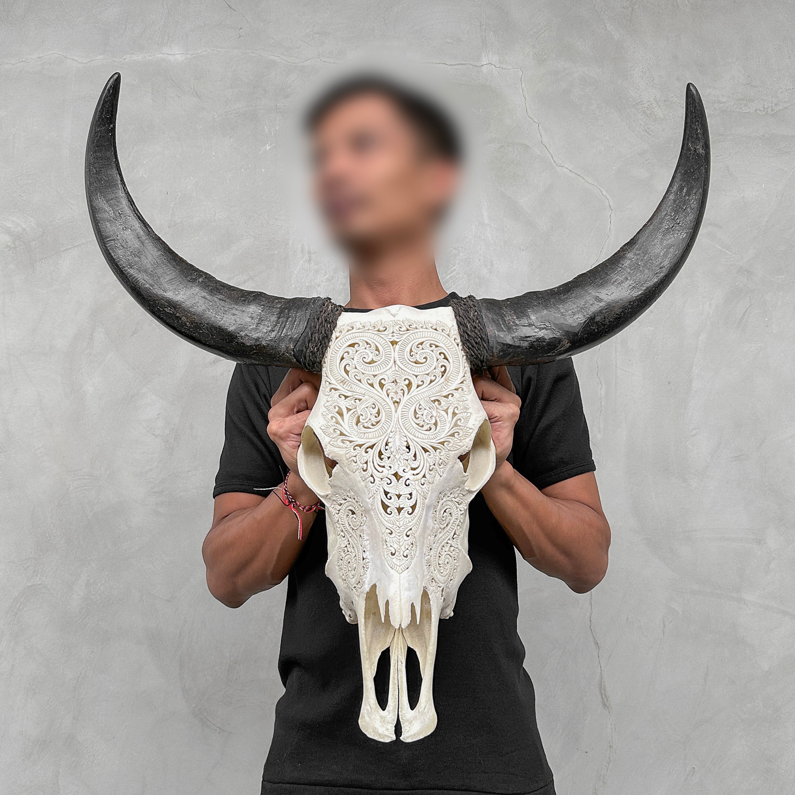 Carved Water Buffalo Skull with Leaf Scroll Design – White Bone Wall Art – Botanical Tribal Skull with Black Horns - Skull,A/057