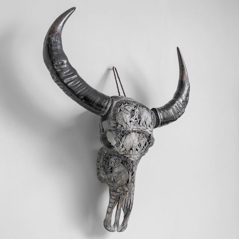 Real Carved Buffalo Skull 22/EX/274