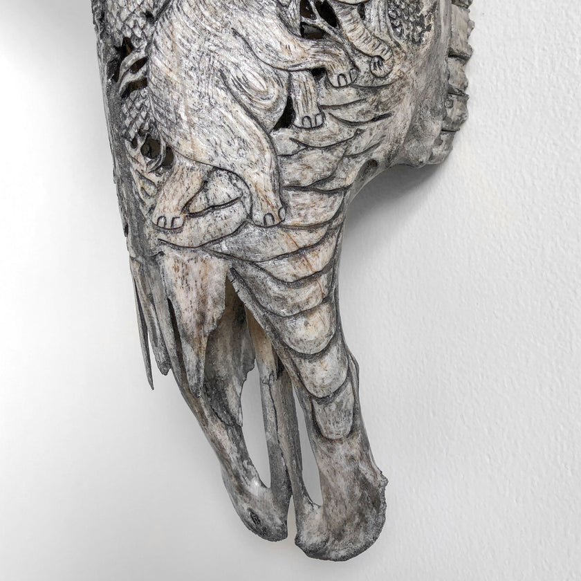 Real Carved Buffalo Skull 22/EX/274