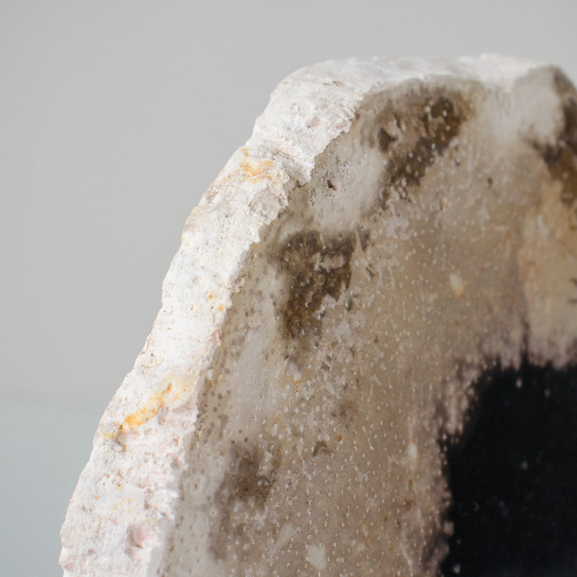 A Beautiful Slice of Petrified Palm Root on stand  PetW/048