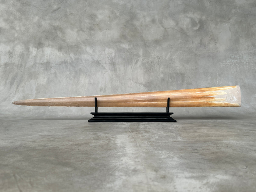 Swordfish - Horizontal Dragon Tiger - Tusk,A/028