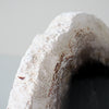 A Beautiful Slice of Petrified Palm Root on stand  PetW/080