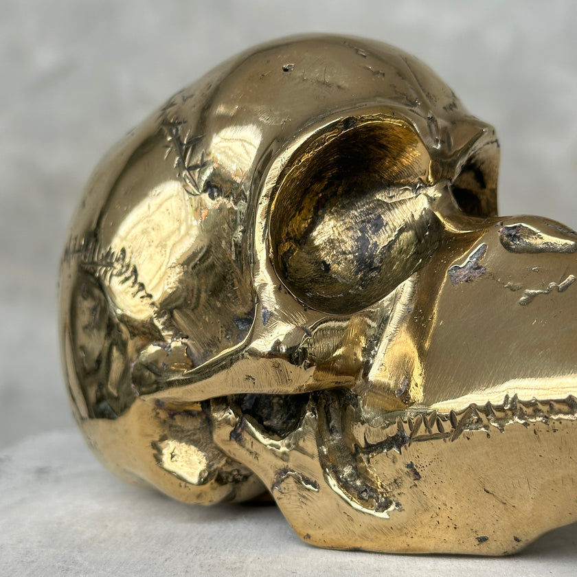 Mythical Bird Head Light Brown S