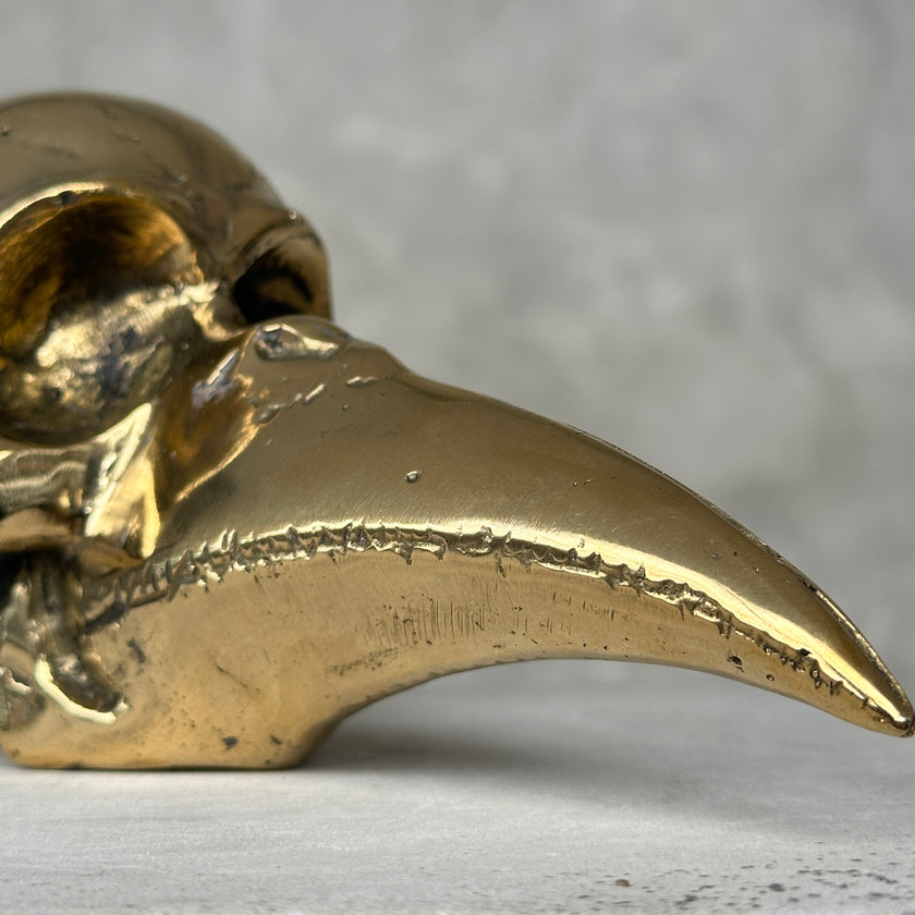 Mythical Bird Head Light Brown S