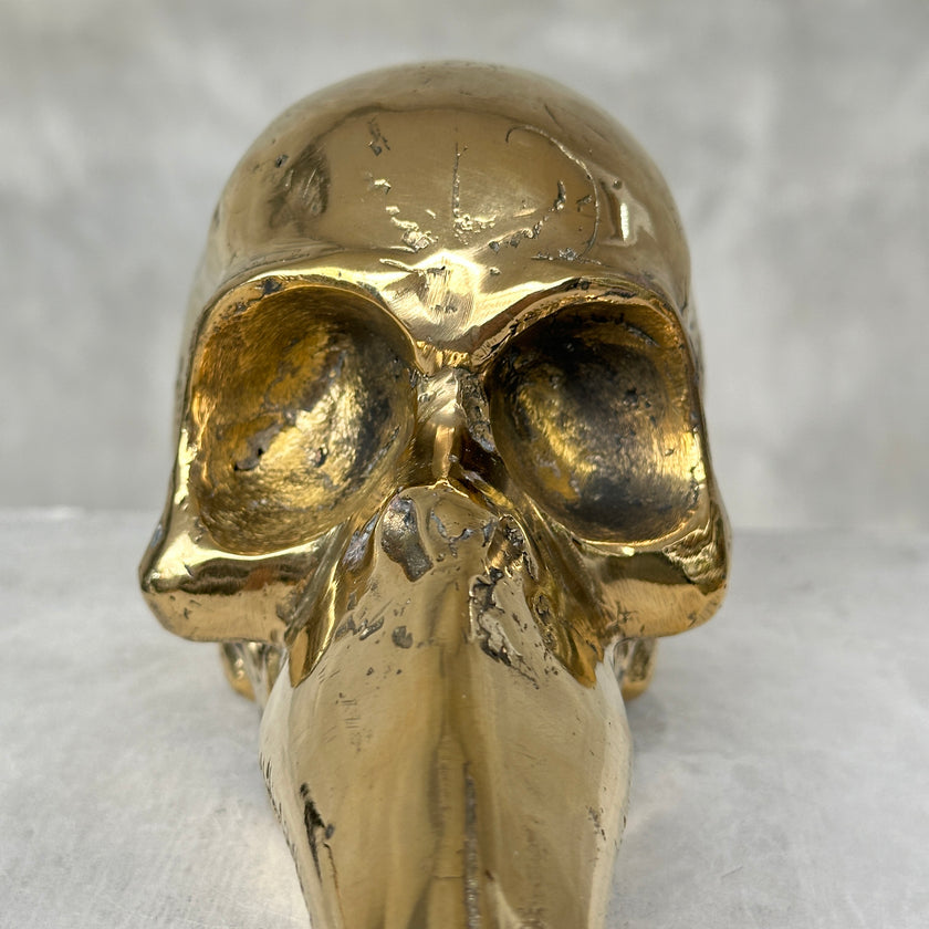 Mythical Bird Head Light Brown S