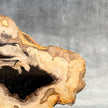 Beautiful Slice of Petrified Wood on stand - Z5/176