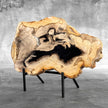 Beautiful Slice of Petrified Wood on stand - Z5/176