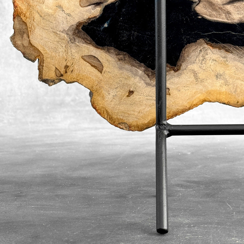 Beautiful Slice of Petrified Wood on stand - Z5/176