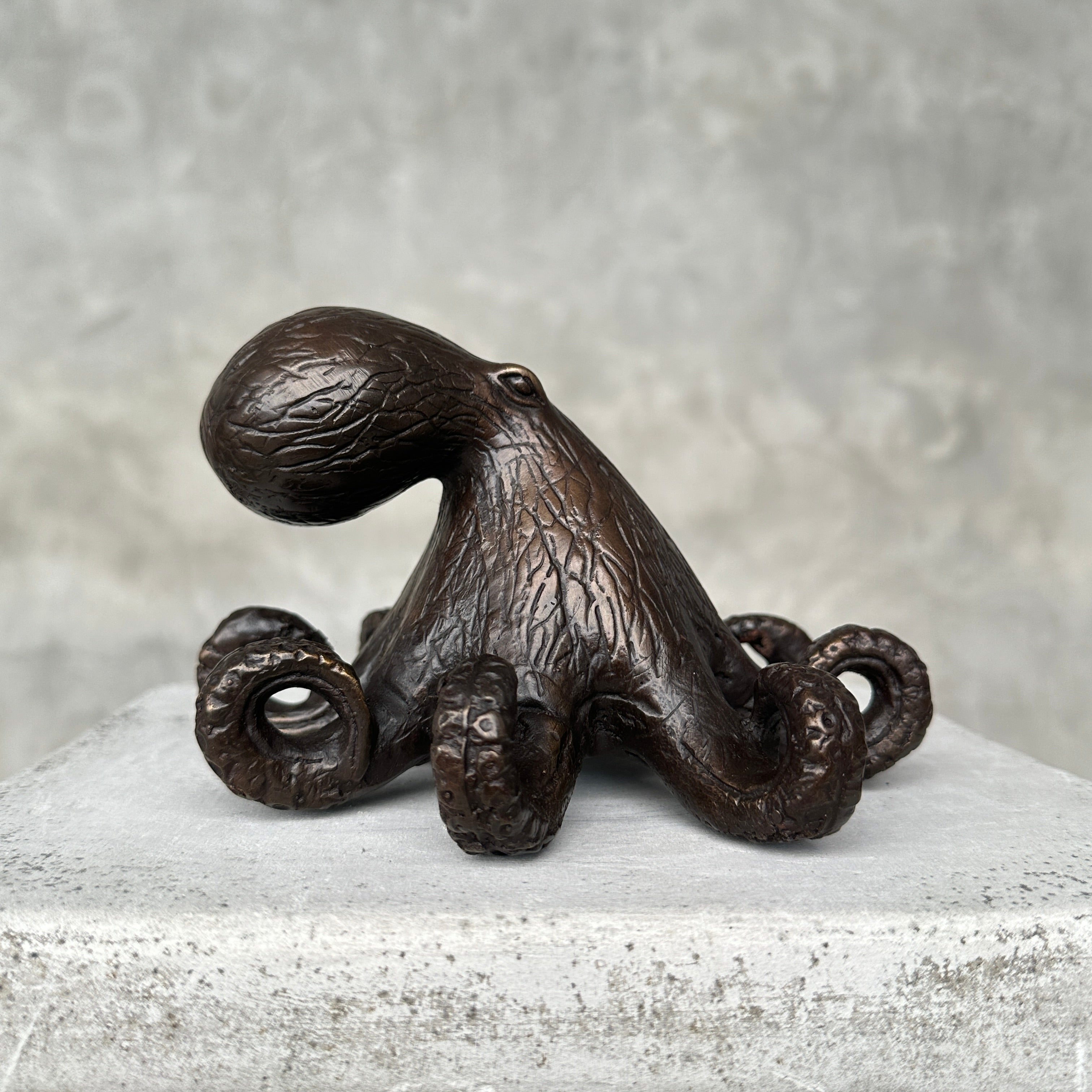 Octopus Sculputre Brown Bronze