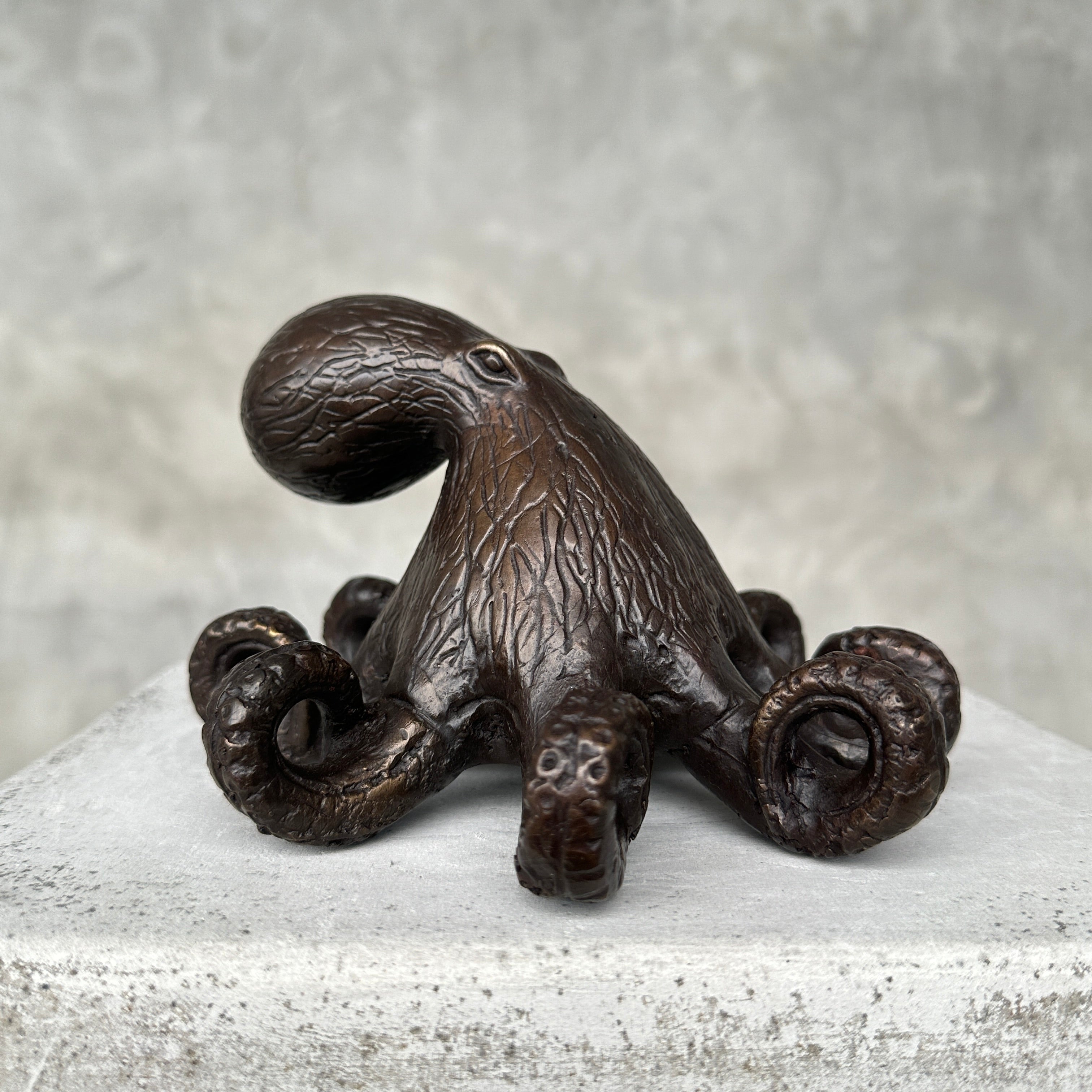 Octopus Sculputre Brown Bronze