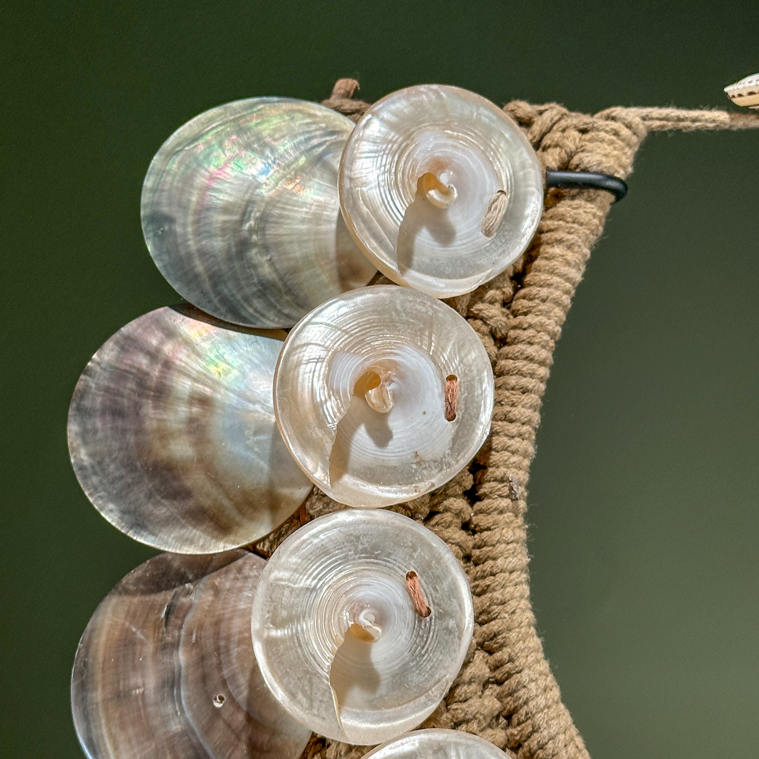 Decorative Shell Necklace on Stand – Coastal Tribal-Inspired Display Piece for Boho, Natural, or Ethnic-Inspired Home Styling - SN 5 - SN A/01