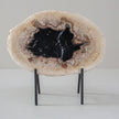 A Beautiful Slice of Petrified Palm Root on stand  PetW/064