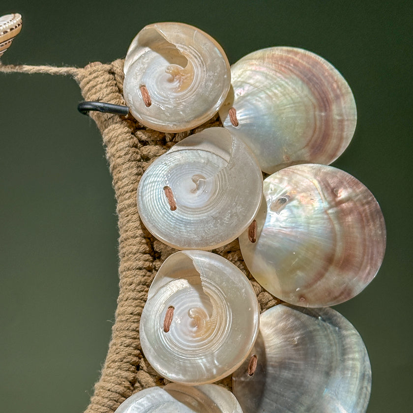 Decorative Shell Necklace SN 5 | SN A/01