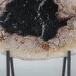 A Beautiful Slice of Petrified Palm Root on stand  PetW/064