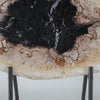 A Beautiful Slice of Petrified Palm Root on stand  PetW/064