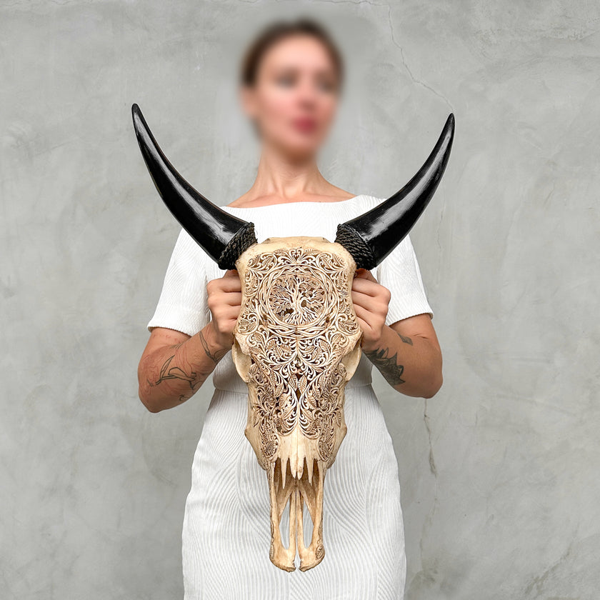 Carved Cow Skulls with Pohon Carving Skull,A/074