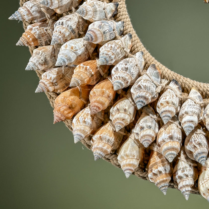 Decorative Shell Necklace SN 8 | SN A/02