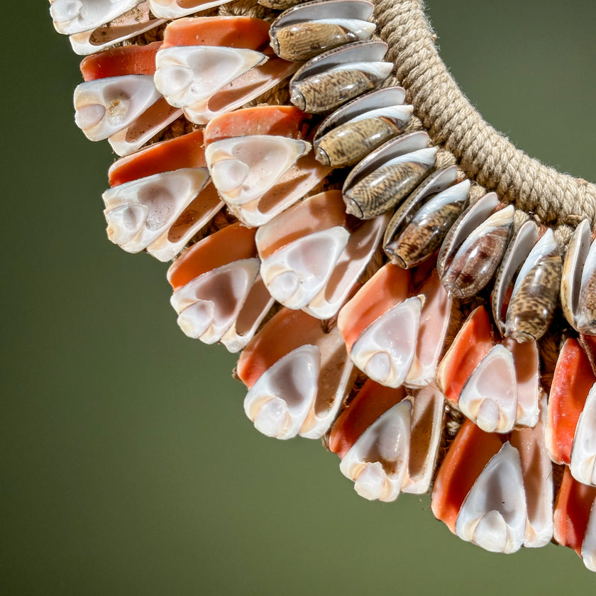 Decorative Shell Necklace SN 14 | SN A/05