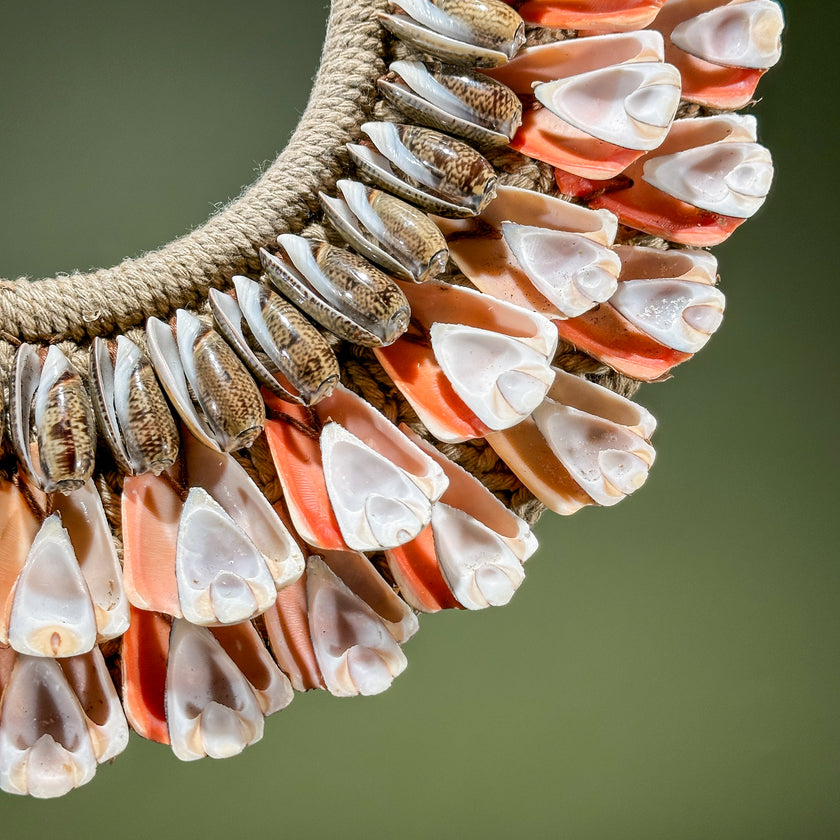 Decorative Shell Necklace SN 14 | SN A/05