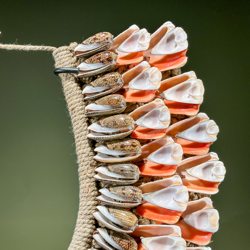 Decorative Shell Necklace SN 14 | SN A/05