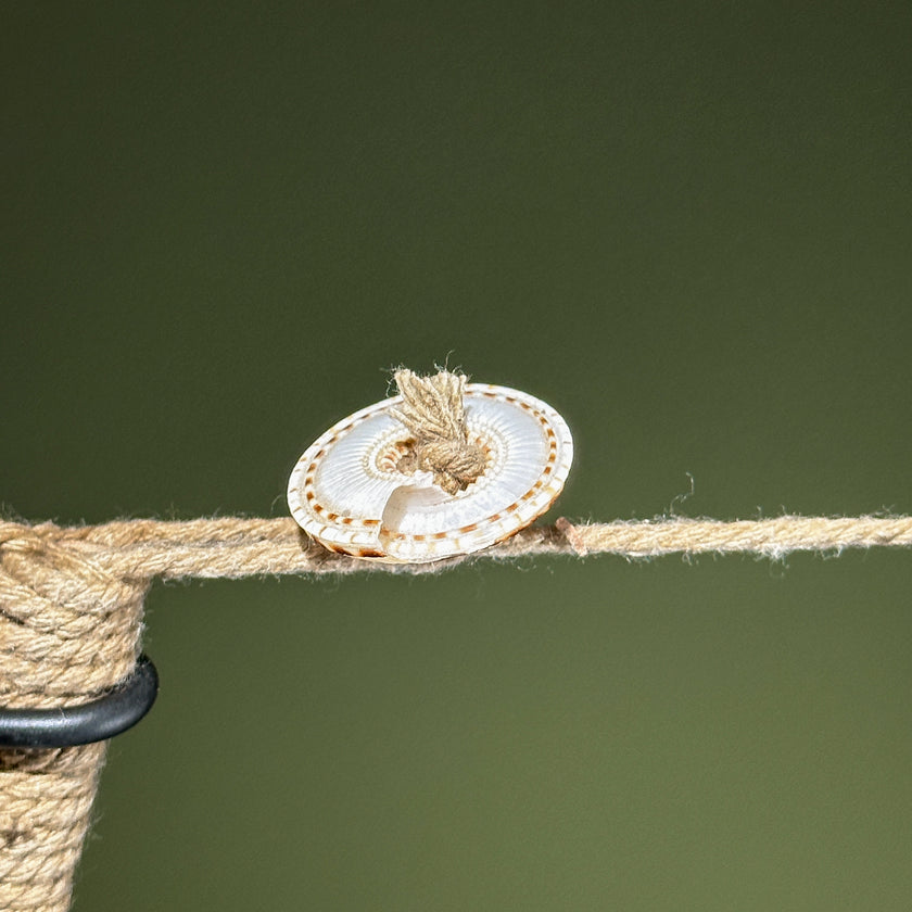 Decorative Shell Necklace SN 14 | SN A/05