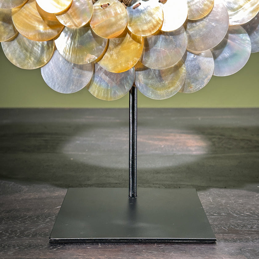 Decorative Shell Necklace SN 19 | SN A/03