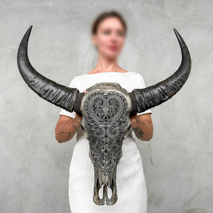 Caved Waterbuffalo Skulls with Leaf Carving Skull,A/095