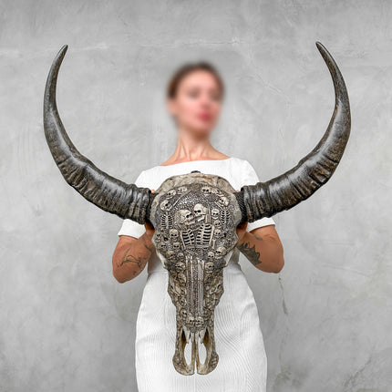 Caved Waterbuffalo Skulls with Human skull couple Carving Skull,A/099