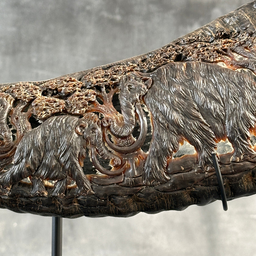 Buffalo Horn Mammoth - CoC,A/002