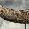 Buffalo Horn Dragon Phoniex - CoC,A/001