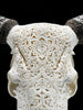 Fully carved cow skulls with Star Mandala Carving Skull,A/081