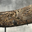 Buffalo Horn Dragon Phoniex - CoC,A/001