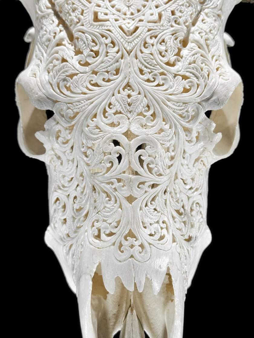 Fully carved cow skulls with Star Mandala Carving Skull,A/081
