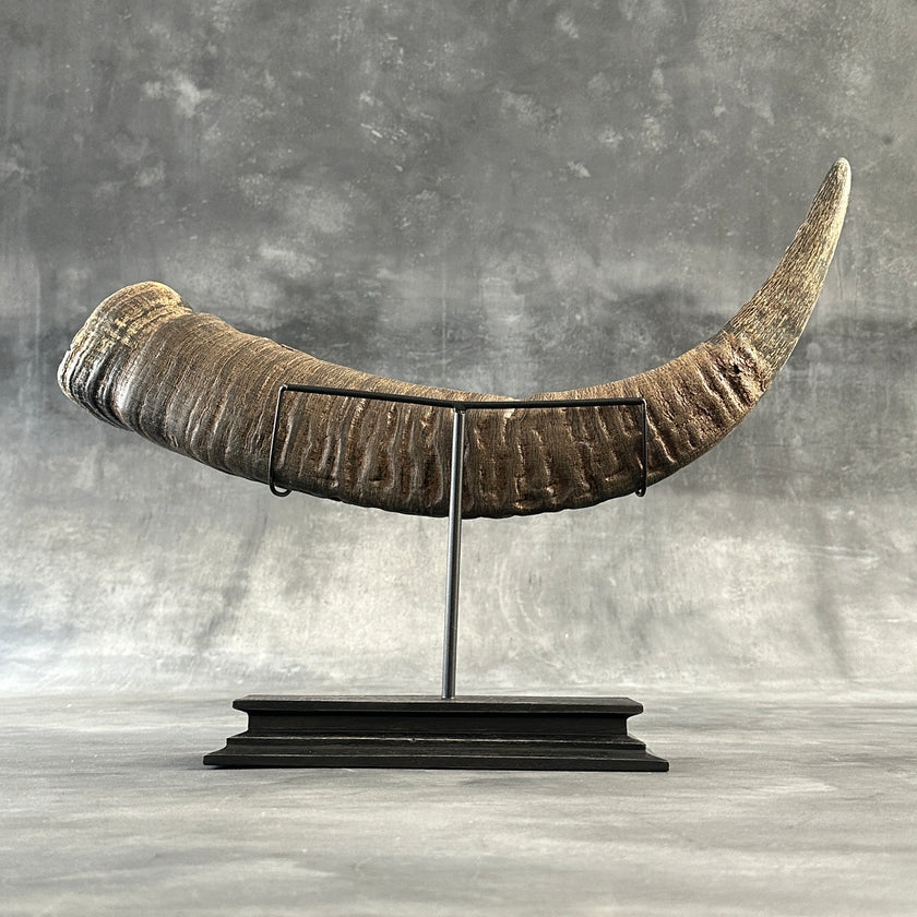 Buffalo Horn Dragon Phoniex - CoC,A/001