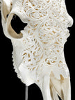 Fully carved cow skulls with Star Mandala Carving Skull,A/081