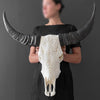 Real Carved Buffalo Skull 23/ETSY/216