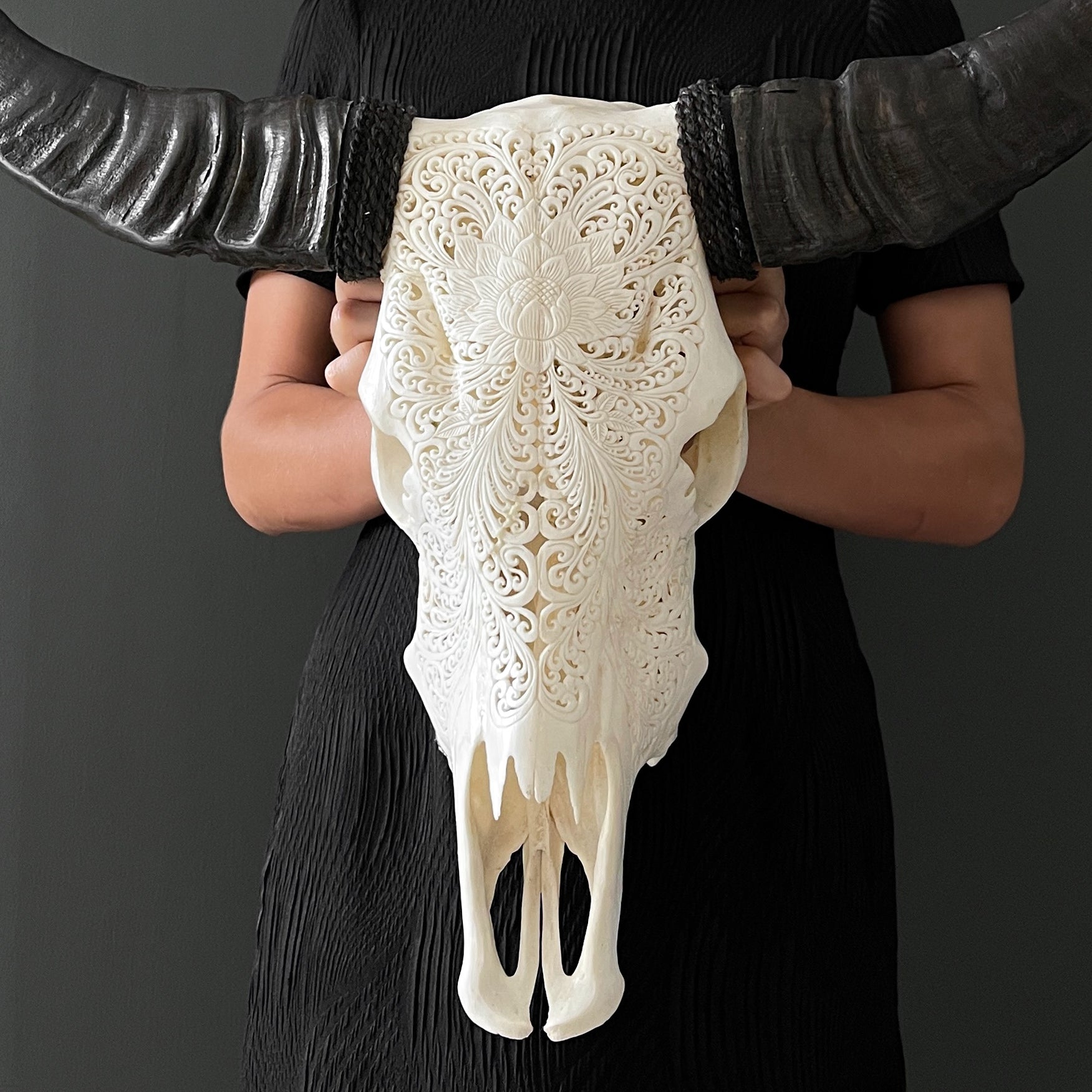 Real Carved Buffalo Skull 23/ETSY/216