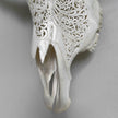 Real Carved Buffalo Skull 23/ETSY/216