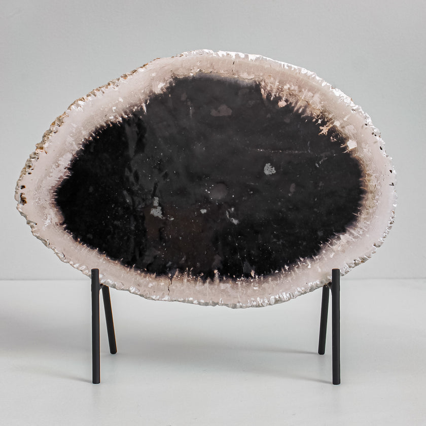 A Beautiful Slice of Petrified Palm Root on stand  PetW/086