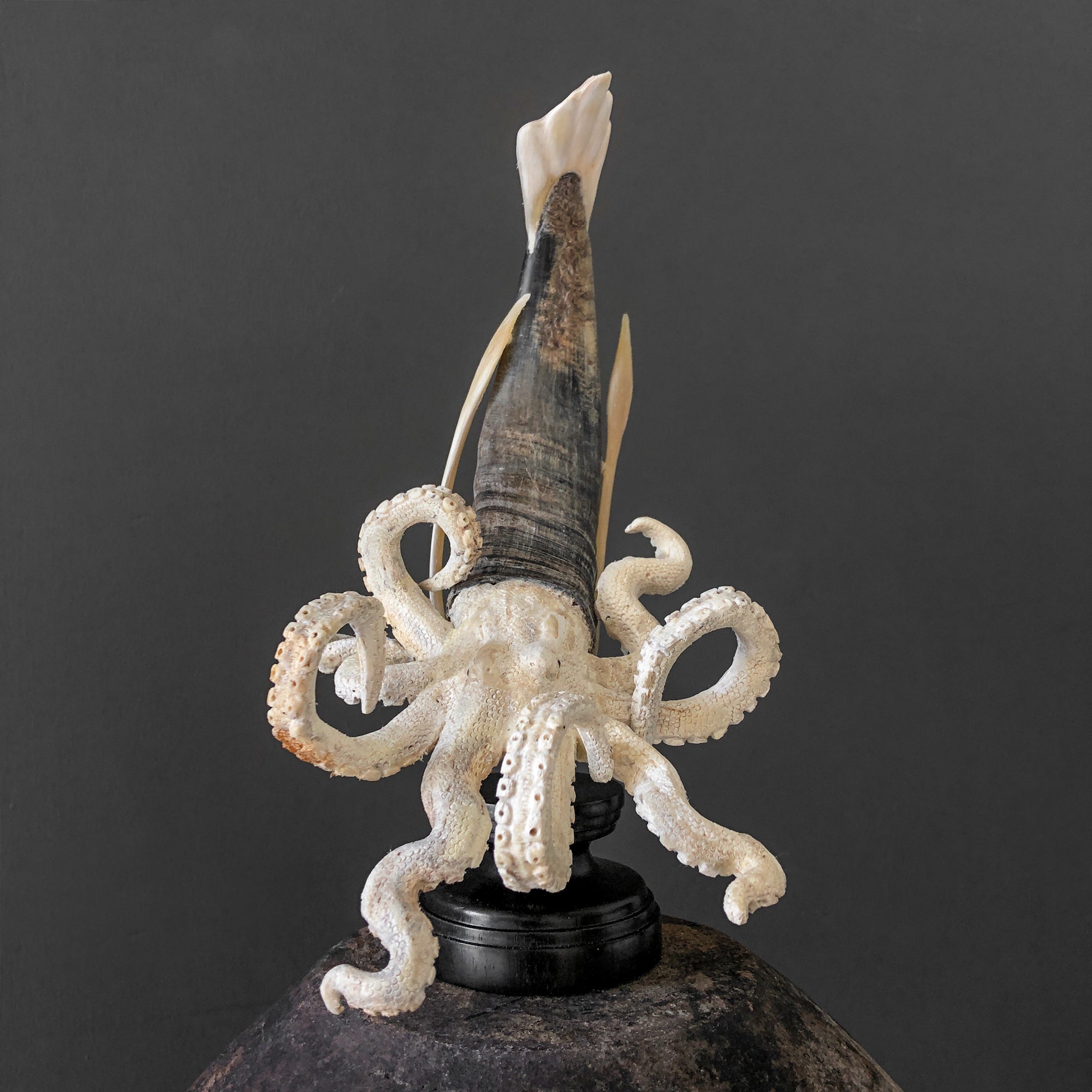 A Stunning Hand Carved Octopus With Horn on a Stand - 7K/109