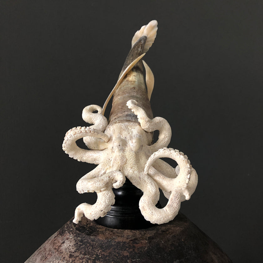 A Stunning Hand Carved Octopus With Horn on a Stand - 7H/109