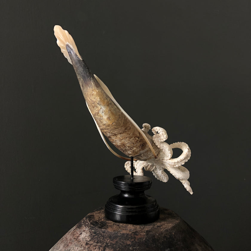 A Stunning Hand Carved Octopus With Horn on a Stand - 7H/109