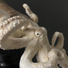 A Stunning Hand Carved Octopus With Horn on a Stand - 7H/109