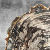 Petrified Wood on Stand – Striking Fossil Slab for Shelf or Console | Natural Earth Formation | Bold Organic Accent - PetW,A/007