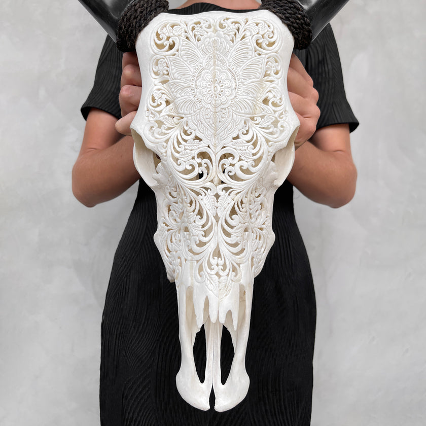 Real Carved Cow Skull 9M/039