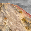 Petrified Wood Artifact on Stand – Raw Stone Slice for Interior Display | Nature-Inspired Home Accent | Ancient Mineral Form - PetW,A/003