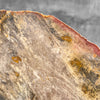 Petrified Wood Artifact on Stand – Raw Stone Slice for Interior Display | Nature-Inspired Home Accent | Ancient Mineral Form - PetW,A/003
