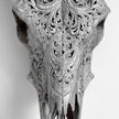 Real Carved Cow Skull with Carved Horns 23/ETSY/222